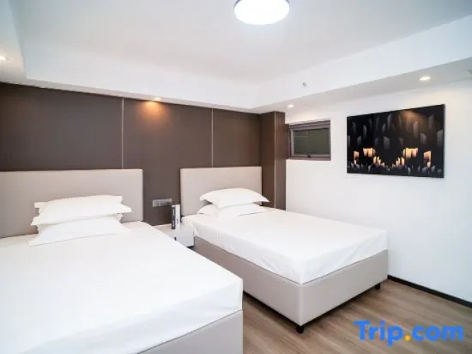 Twin Suite