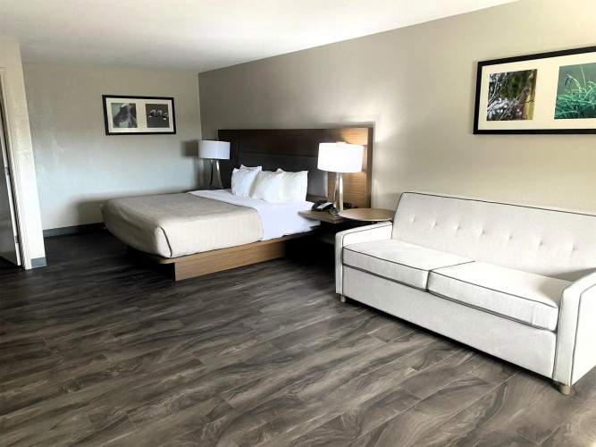 Double Suite