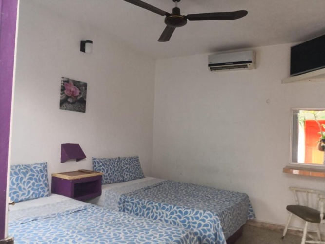 Standard Quadruple room with garden view