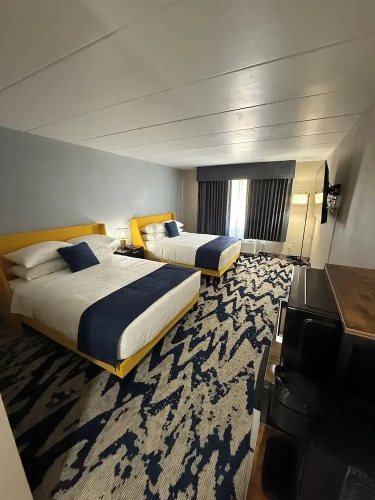 Deluxe Single room