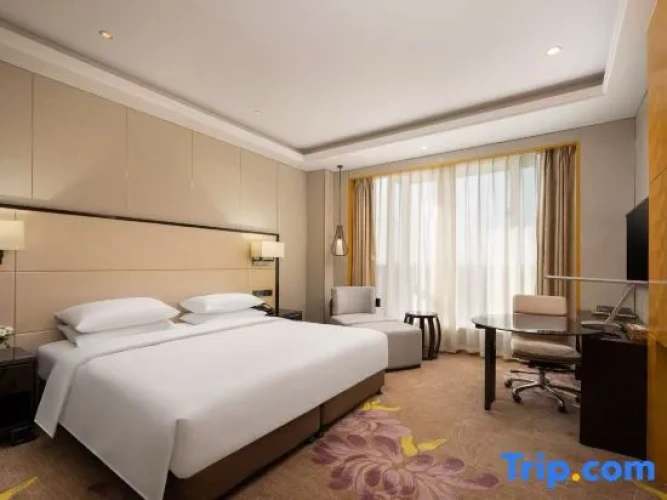 Executive Double Club Suite
