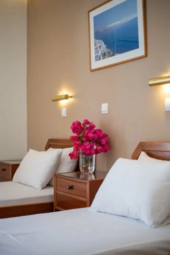Standard Twin room with balcony and with sea view