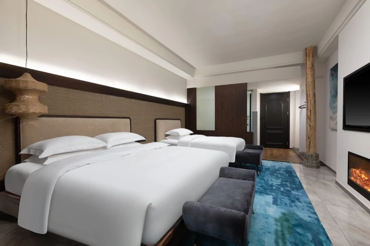 Premier Double room