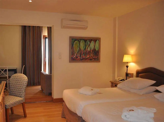 Santa Marina Arachova HotelOver view