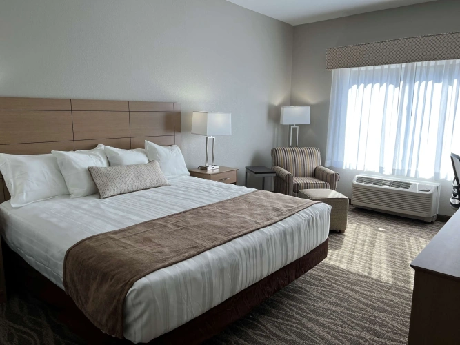 Standard Double room