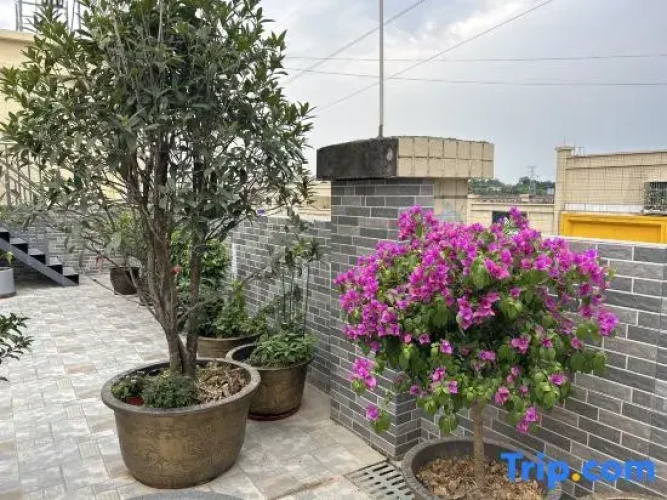 JinchengruiHomestay