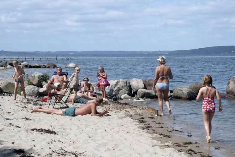 Dancamps Trelde Næs