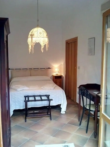 Standard Single room with garden view