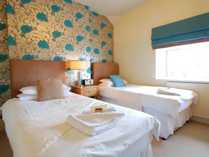 Deluxe Twin room with view