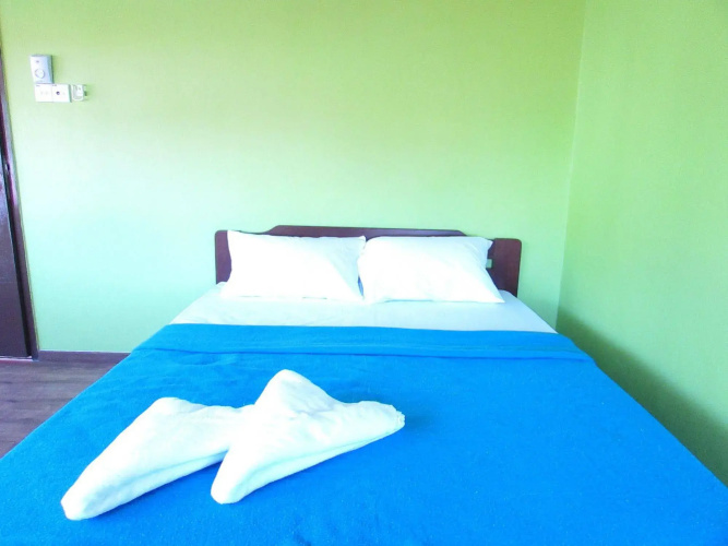 Fat Rhino Hostel