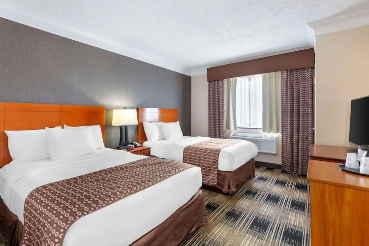 Twin Suite