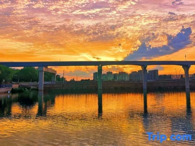 Watermark