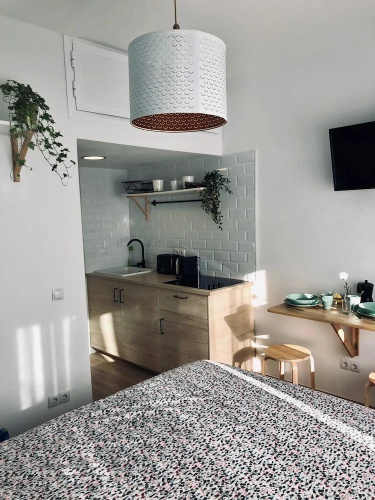 Blue Flamingo Apartment