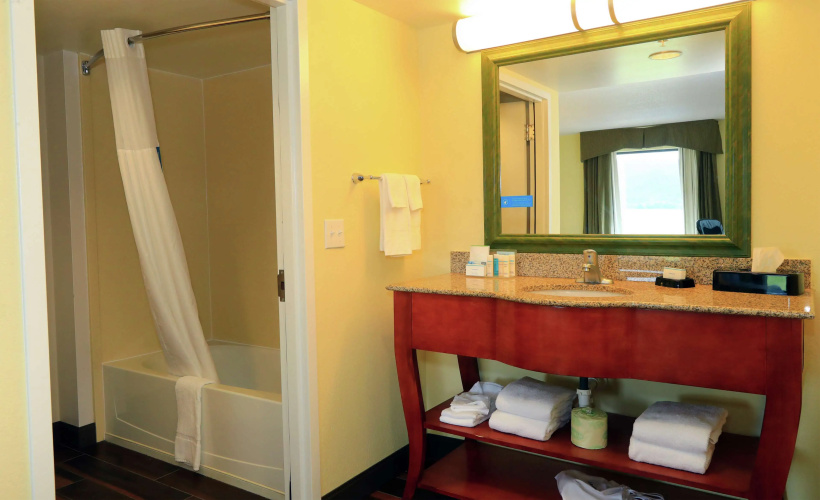 Hampton Inn & Suites Lamar