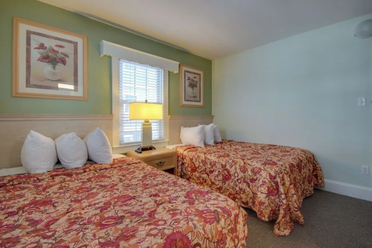 2 Bedrooms Apartment with balcony