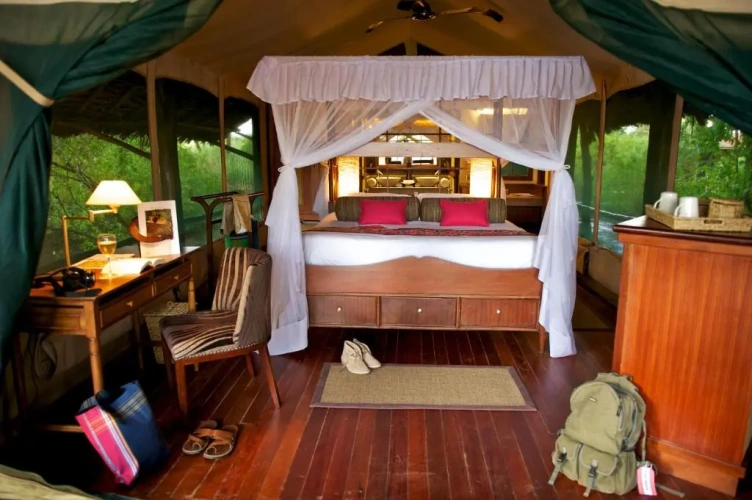 Tent