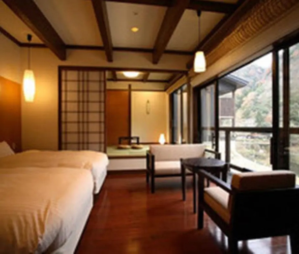 Standard Twin room with view