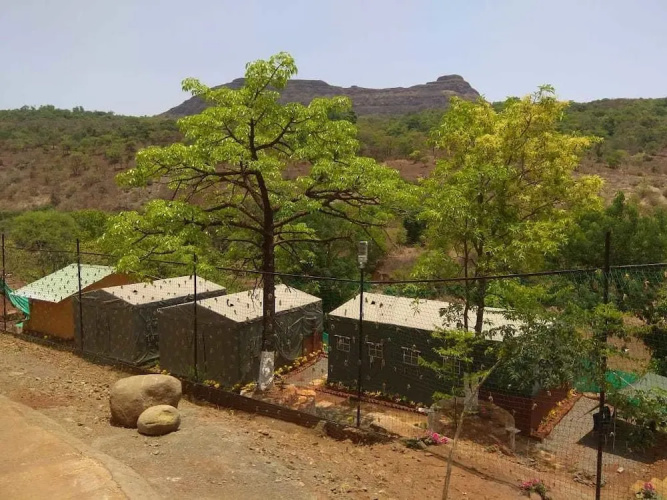 Orfa estate