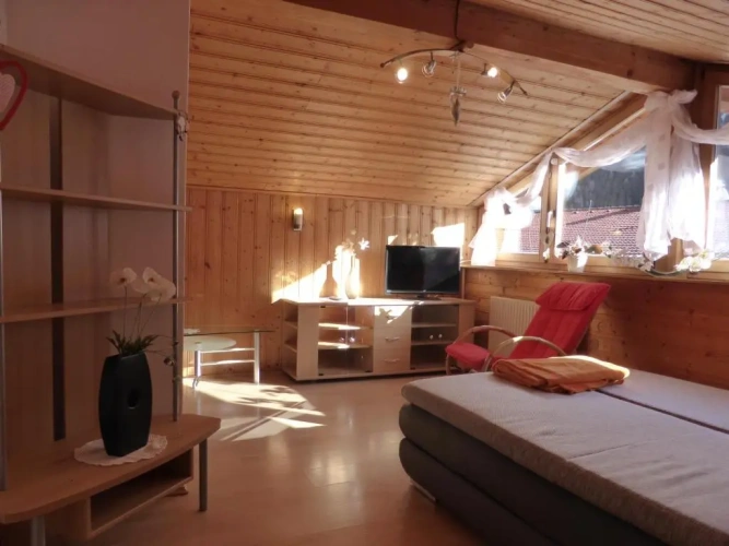 Attic Apartment with panoramic view
