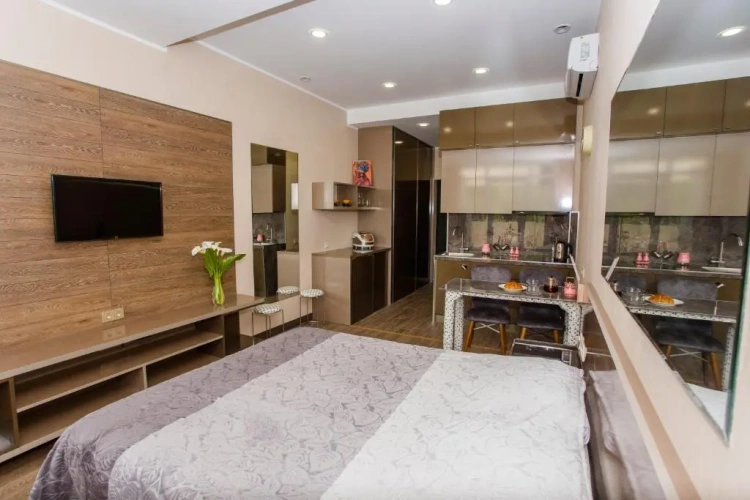 1 Bedroom Apartment
