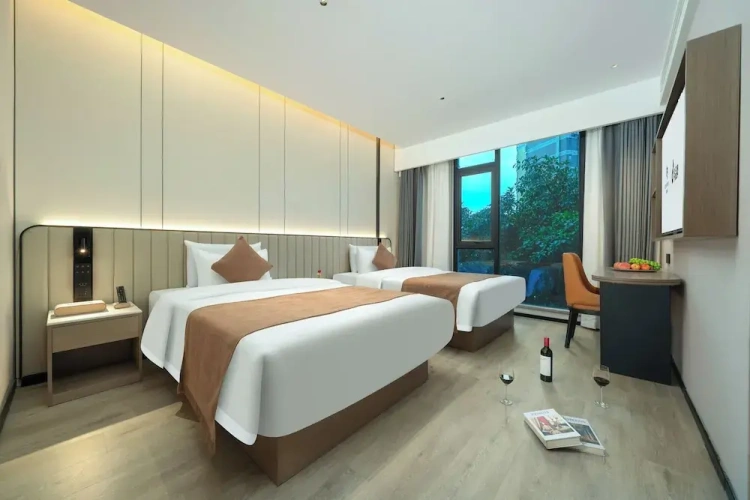 Executive Twin room with city view