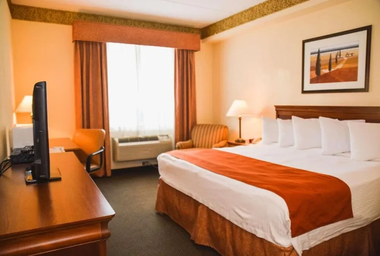 Standard Double room
