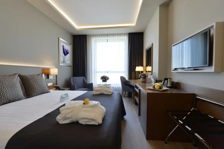 Standard Sofa Bed Double room