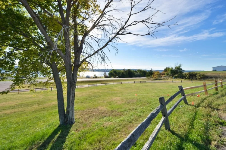 Economy Quadruple room with land view