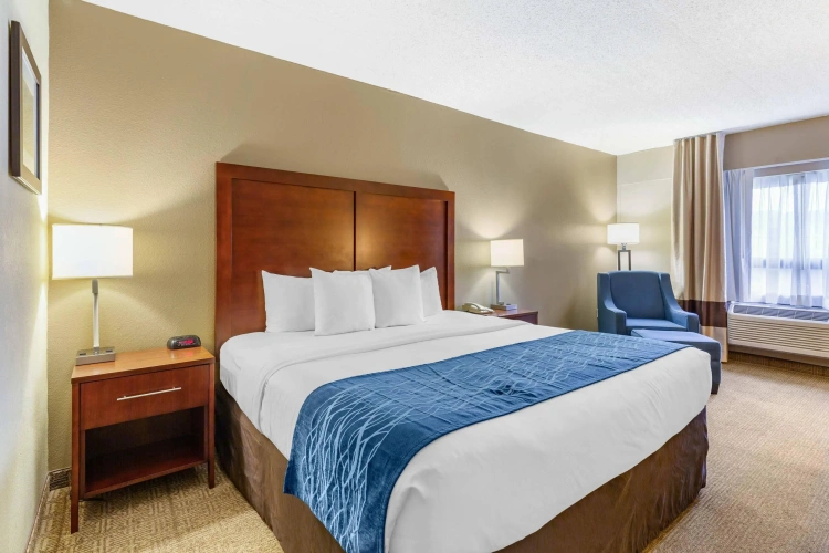 Standard Double room