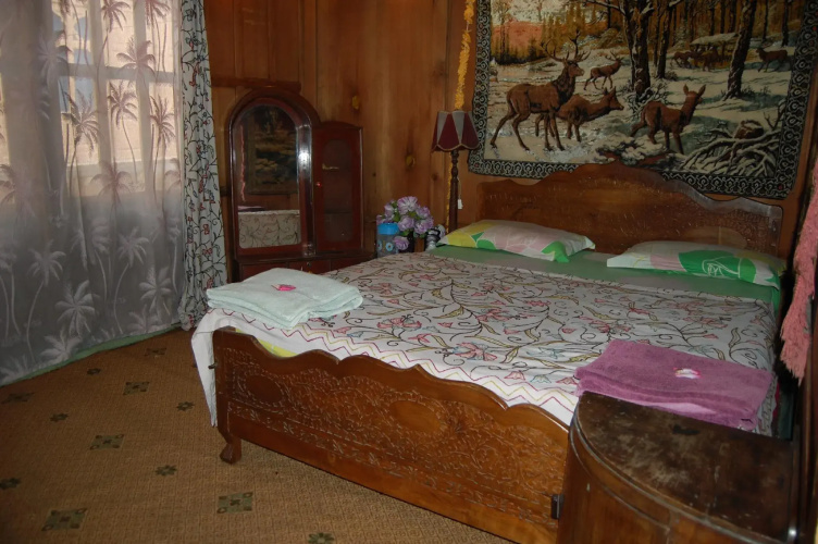 Houseboat Zaindari Palace