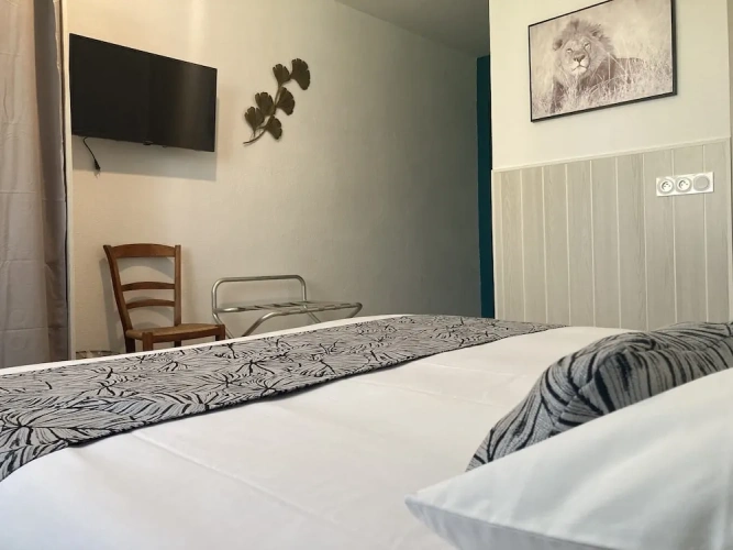 Classic Double room with garden view