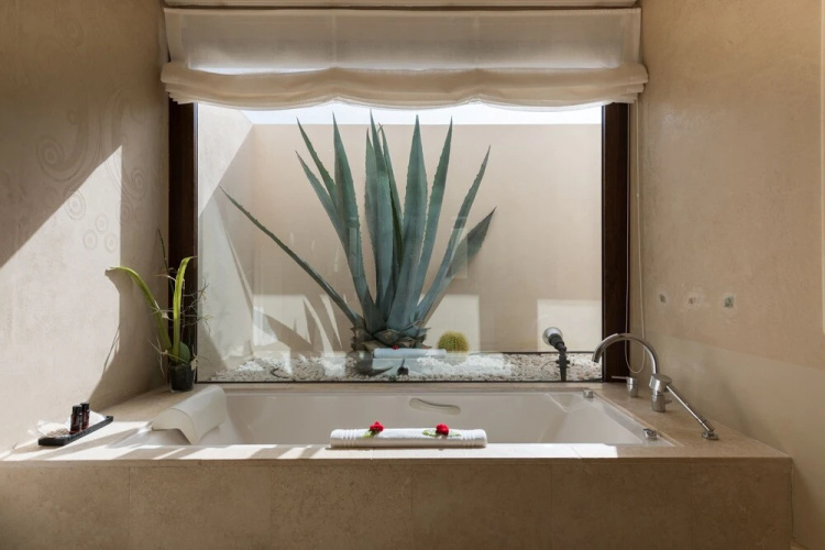 Alondra Suites