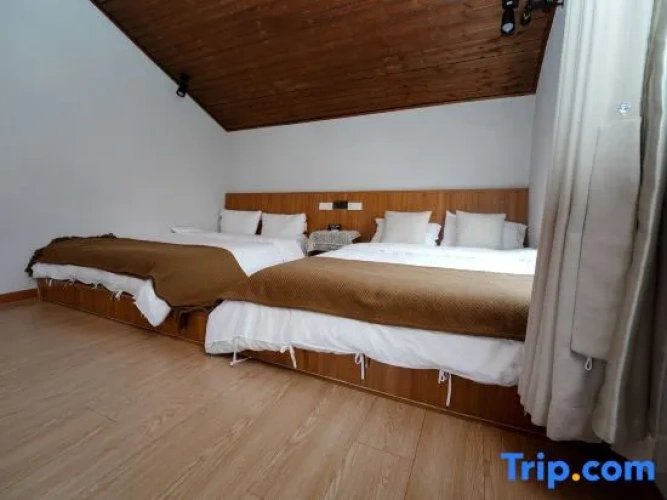 Twin Suite