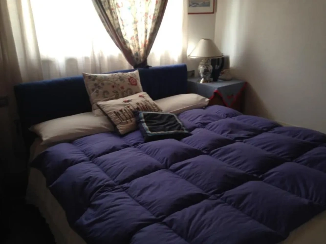 Standard Double room with mountain view