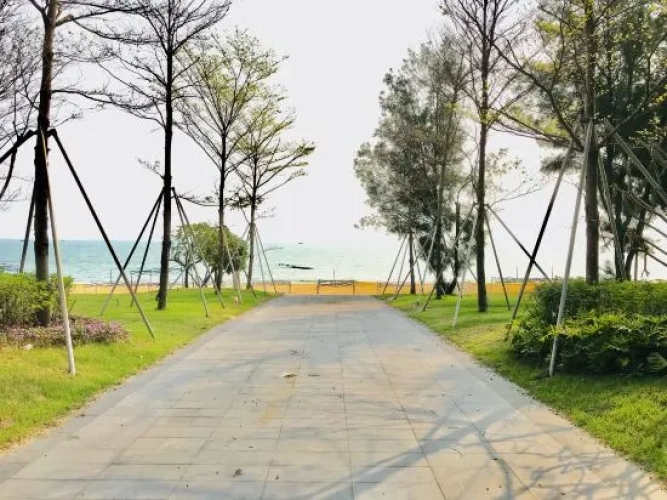Outside