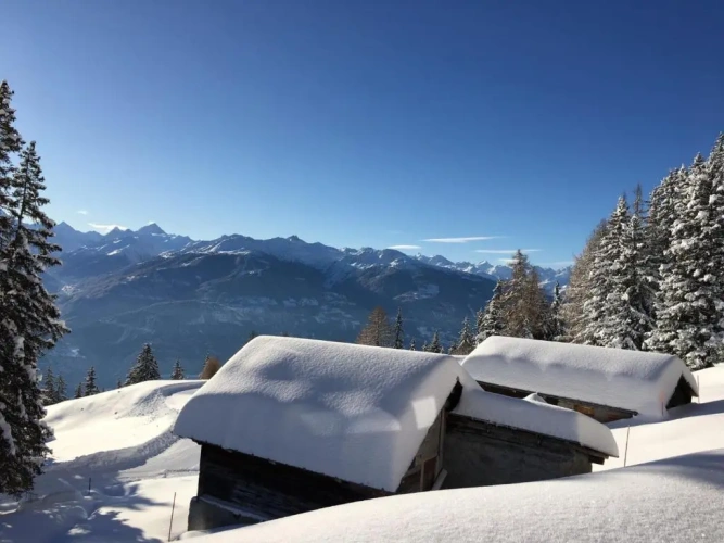 Double Chalet