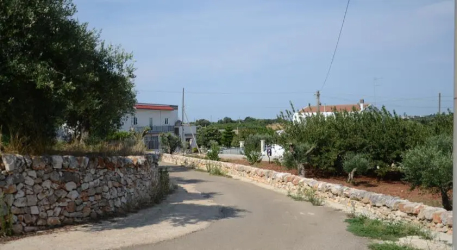 Monte del Sale