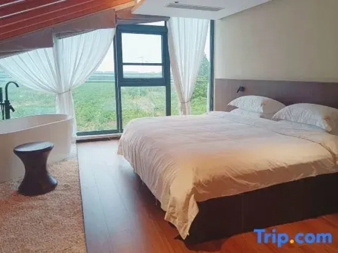 Standard Double room with garden view