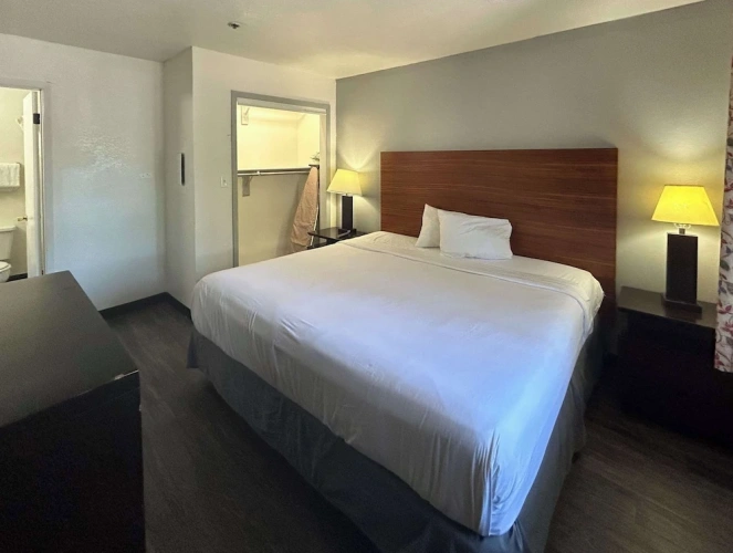 Standard Double Suite