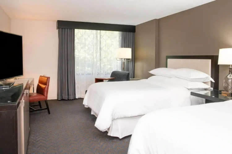 Standard Quadruple Club room