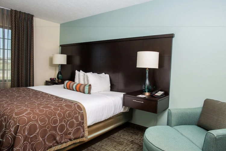 1 Bedroom Suite