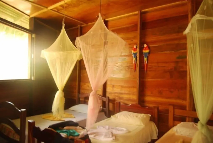 Ararinha Jungle Hotel