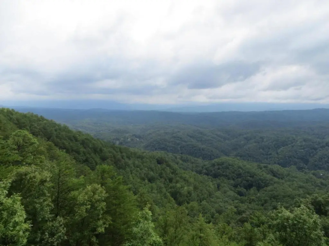 A View from the Top
