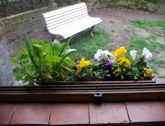 Standard Double room with view