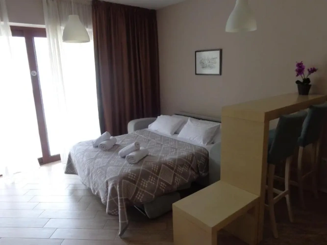 1 Bedroom Superior Apartment with balcony
