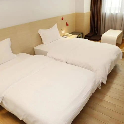 Classic Twin room