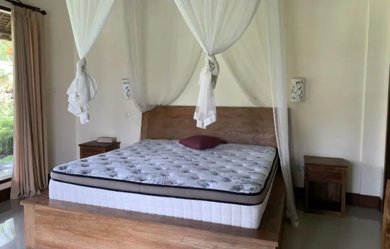 Deluxe Suite with balcony