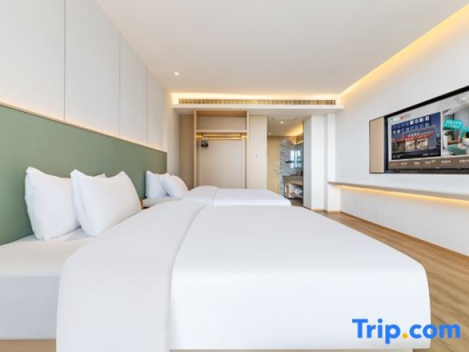 Deluxe Twin room with mountain view