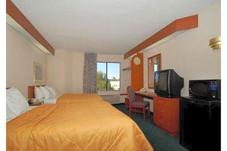 Quadruple Suite