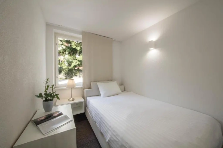 Standard Double room with balcony and with view
